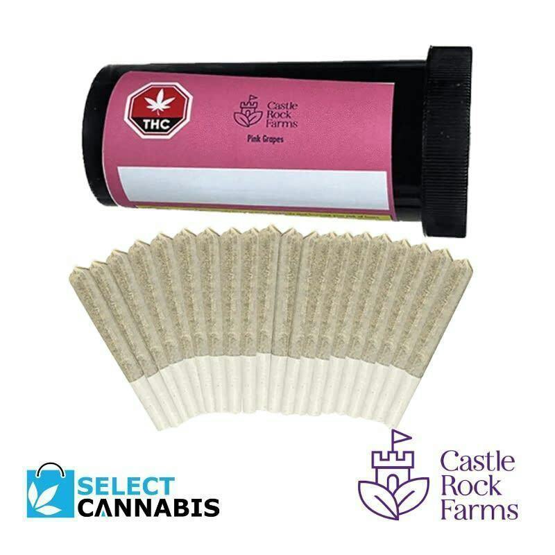 Pink Grapes | Minis | 0.5g | 20pk