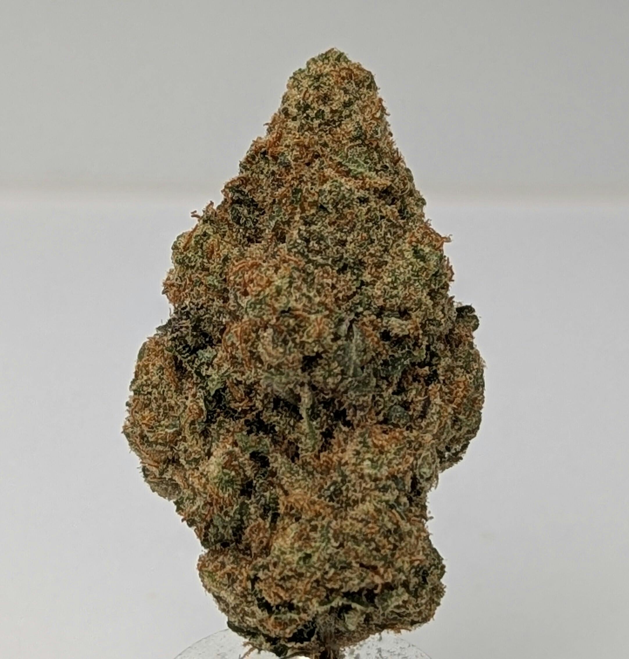 Purple Garlic Breath | 3.5g