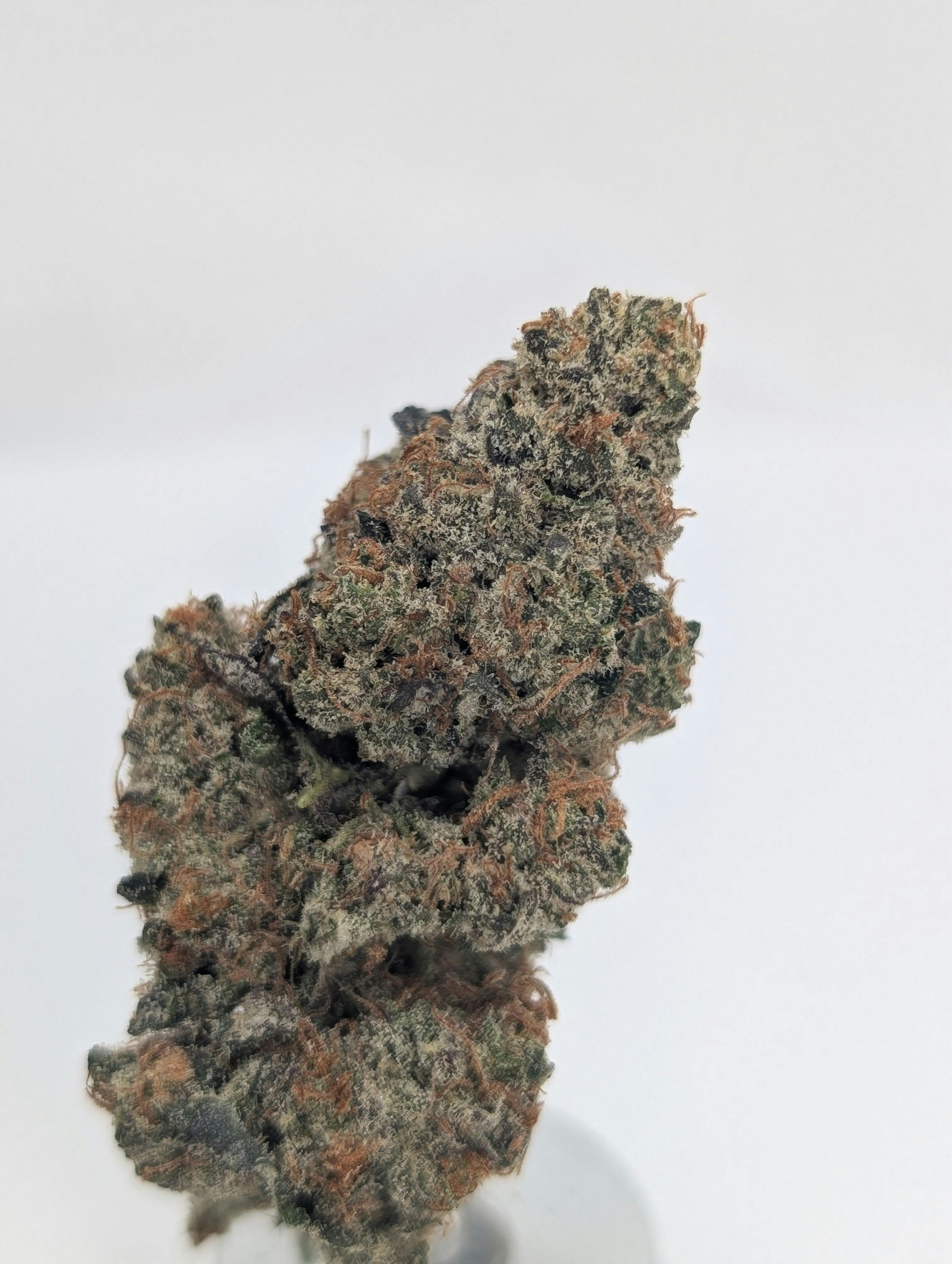 Coupe de Grace | 1g