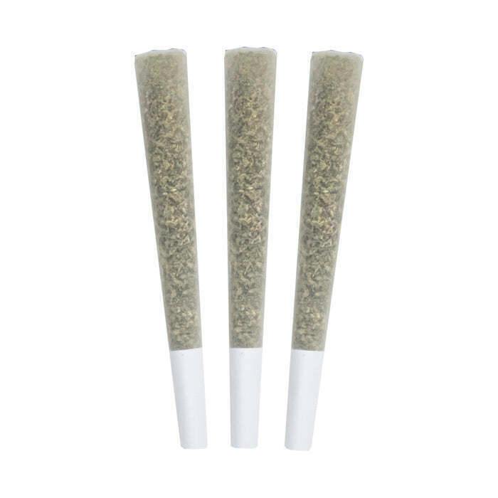 gastro pops | Minis | 0.5g | 3pk