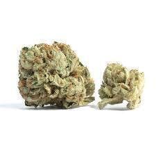 Mac Daddy Royale | 1g