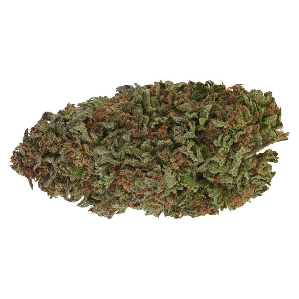 CBD Critical Cure | 3.5g