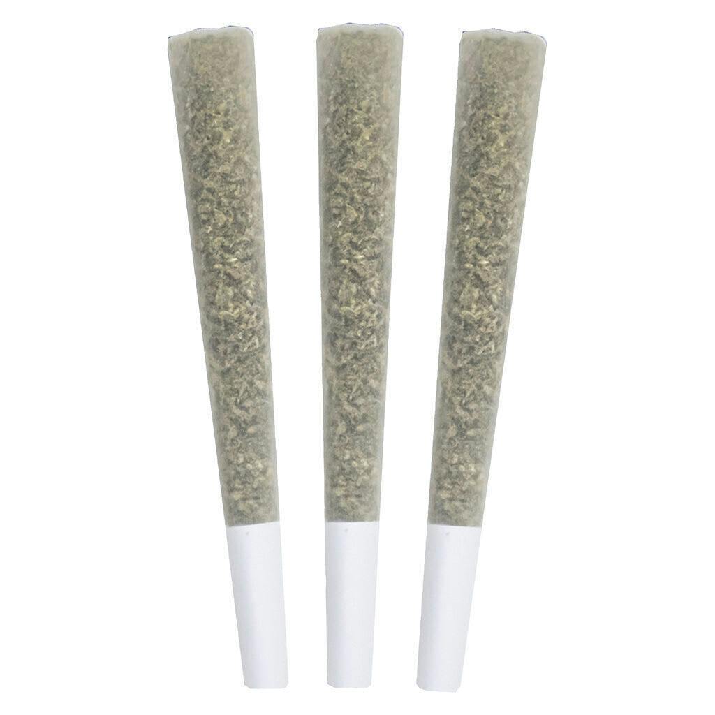 Genetic Funk | Minis | 0.5g | 3pk