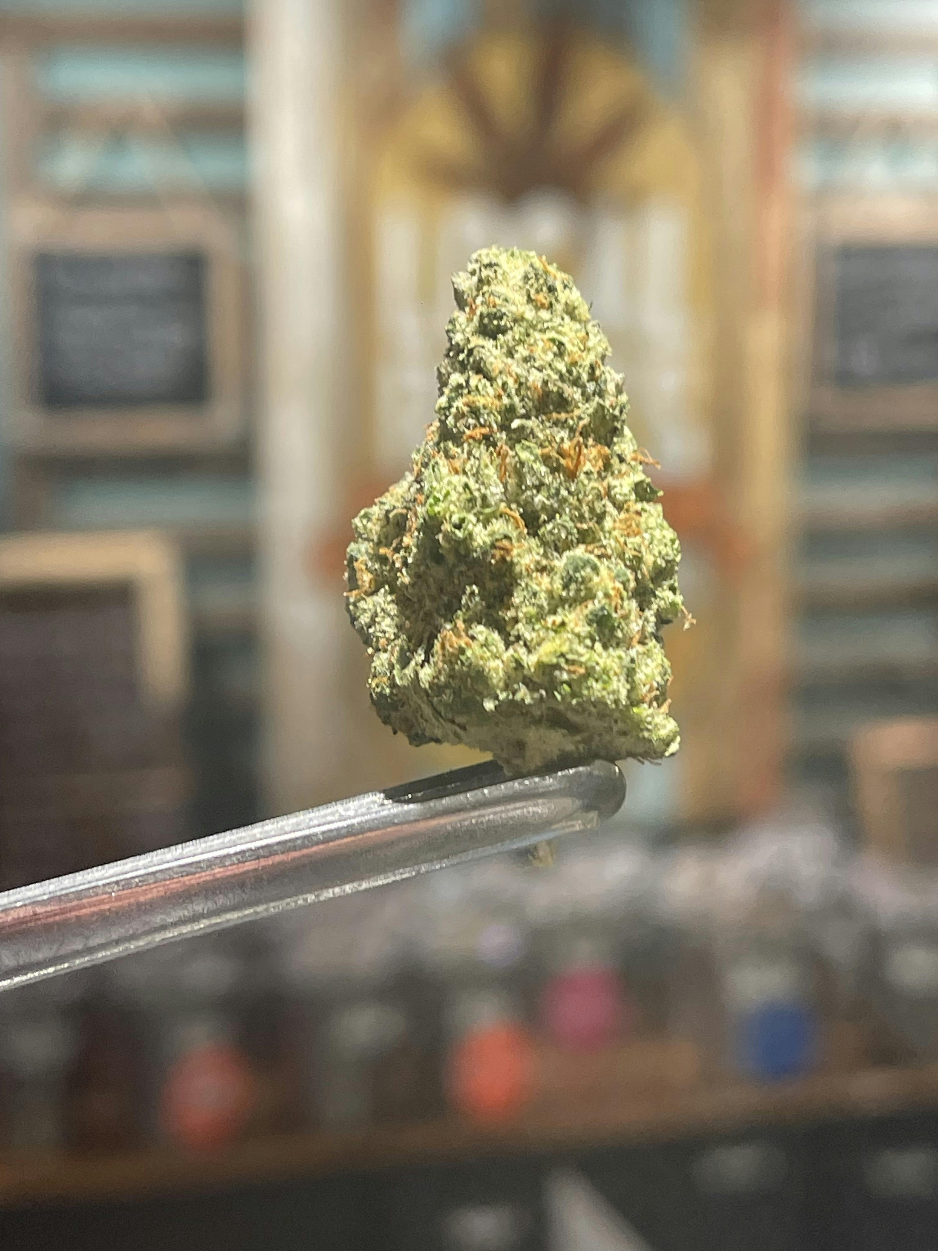 Grassanova | Smalls | 1g