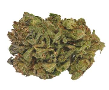 Grease Monkey | Big Buds | 3.5g
