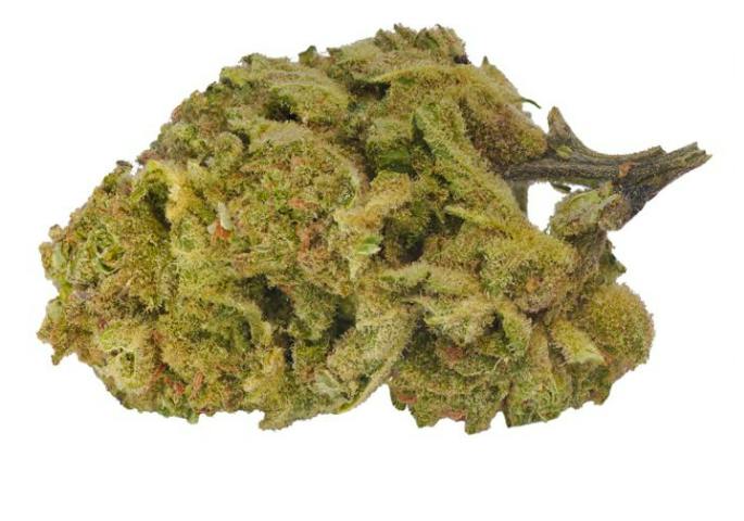 Durban Poison | 3.5g