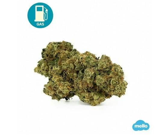 Sheesh | Smalls | 7g