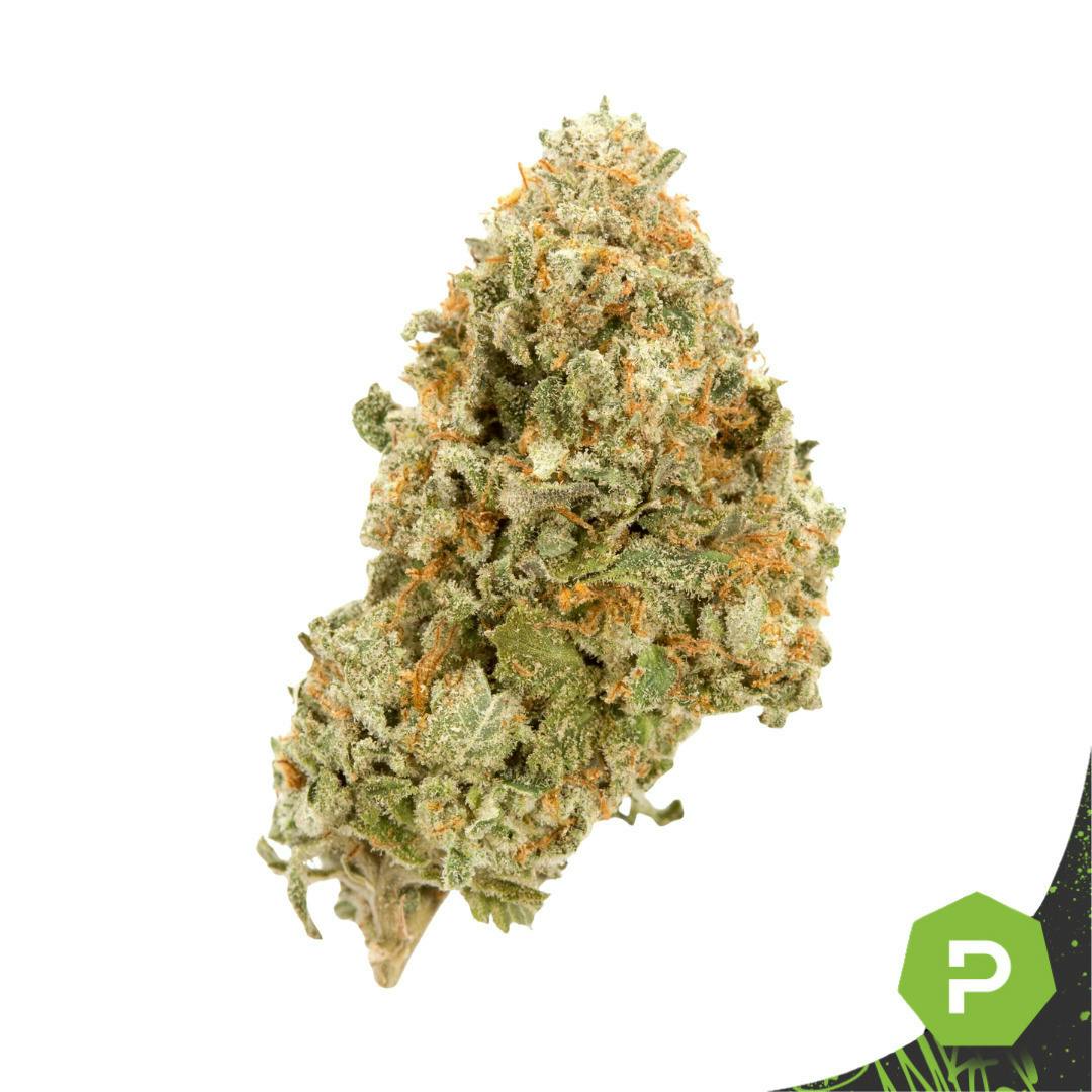 Cherry Lime Runtz | 1g
