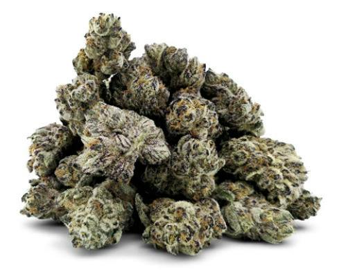 violet flame | Big Buds | 14g
