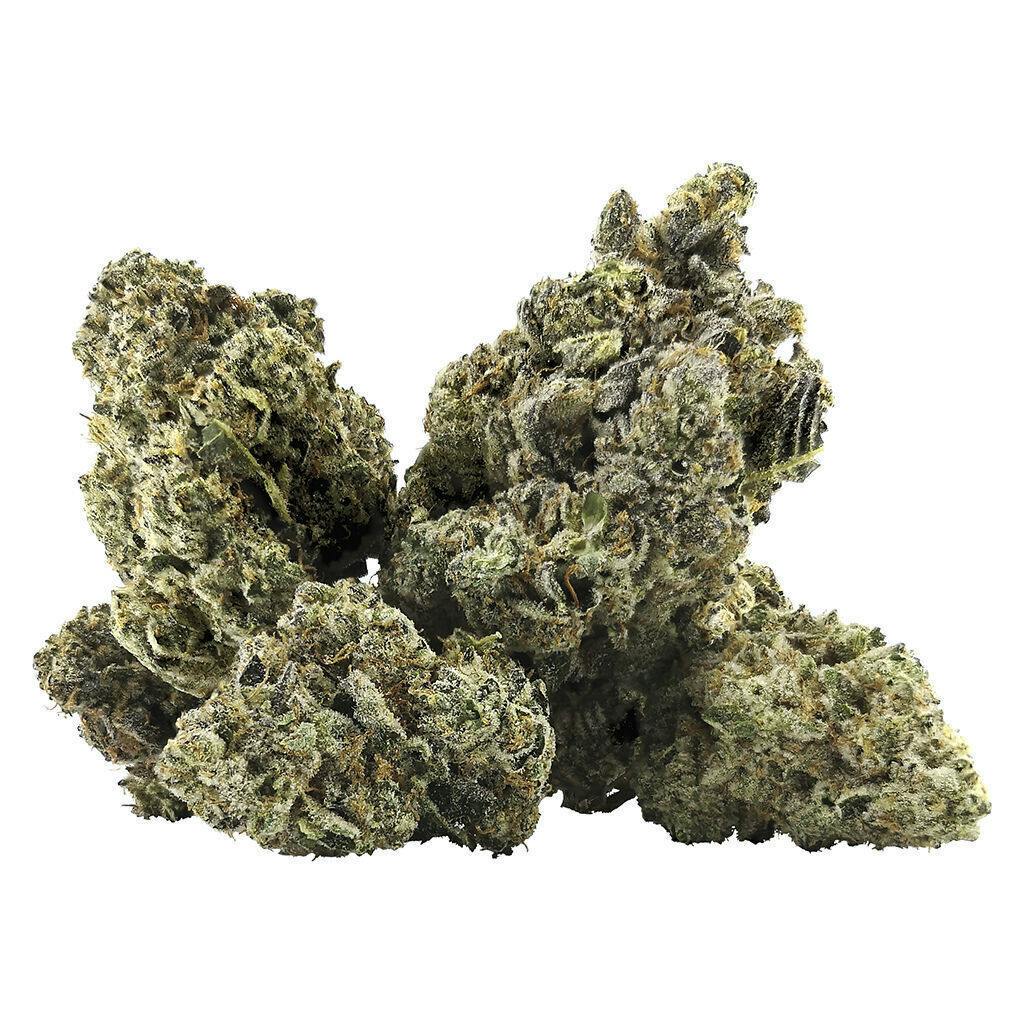 Galactica OG | Big Buds | 14g