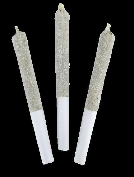 Raspberry Lime Paloma | Infused Minis | 0.5g | 3pk
