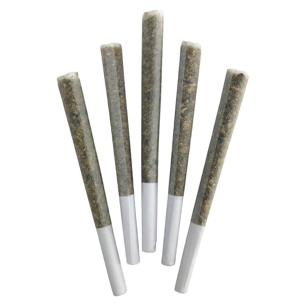 Iced Zuchi | Minis | 0.5g | 5pk