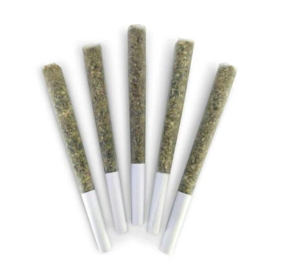 El Changuito | Minis | 0.5g | 5pk