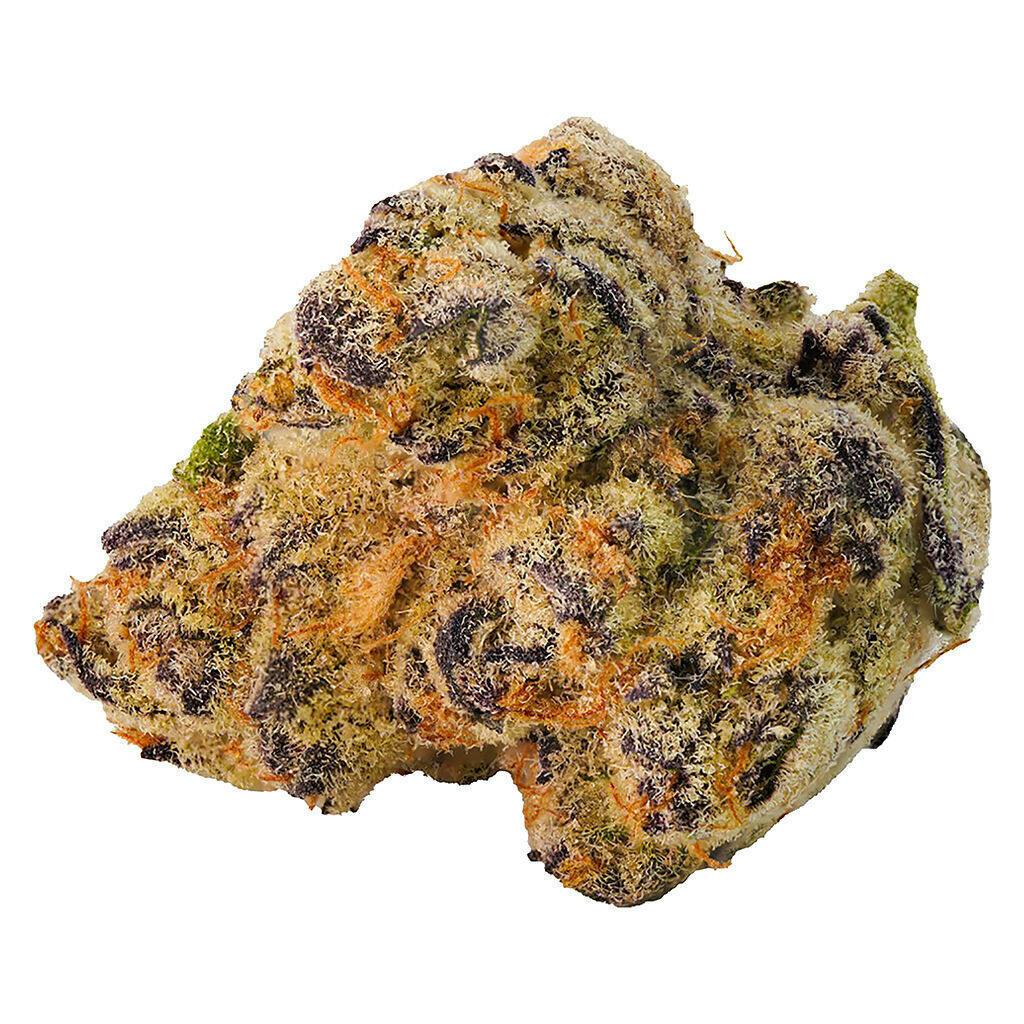 Paulander Purple | Big Buds | 7g