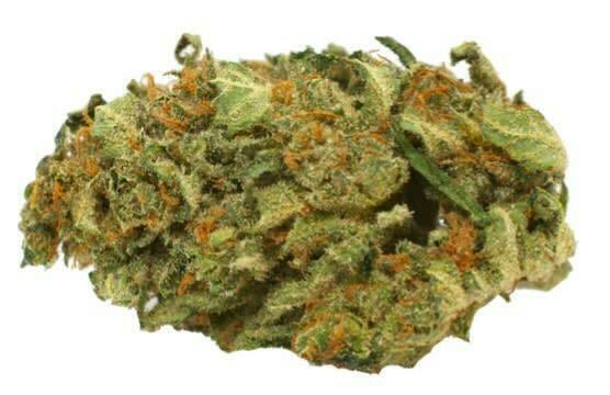 Jack Herer | 14g