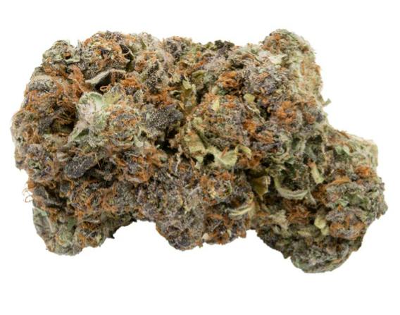 Jager | 28g