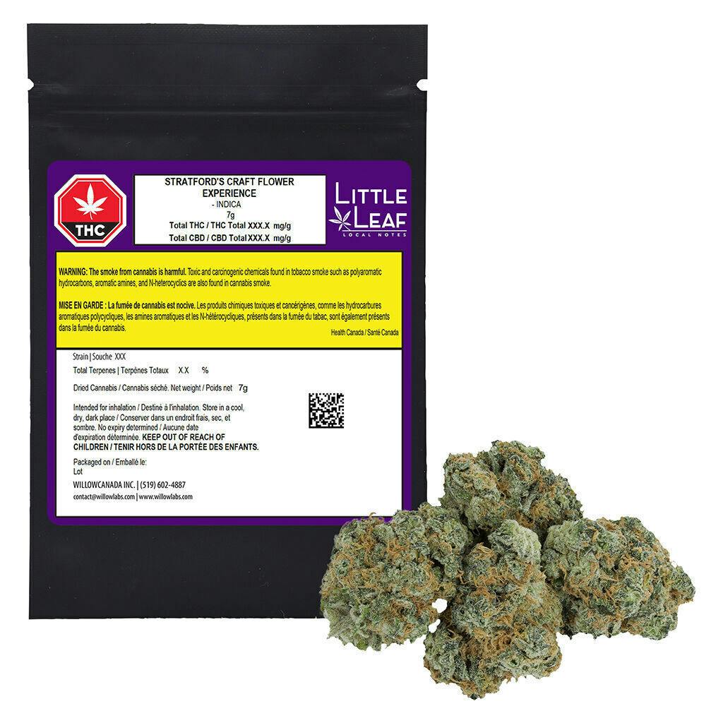 Jealousy X Biscotti | 7g