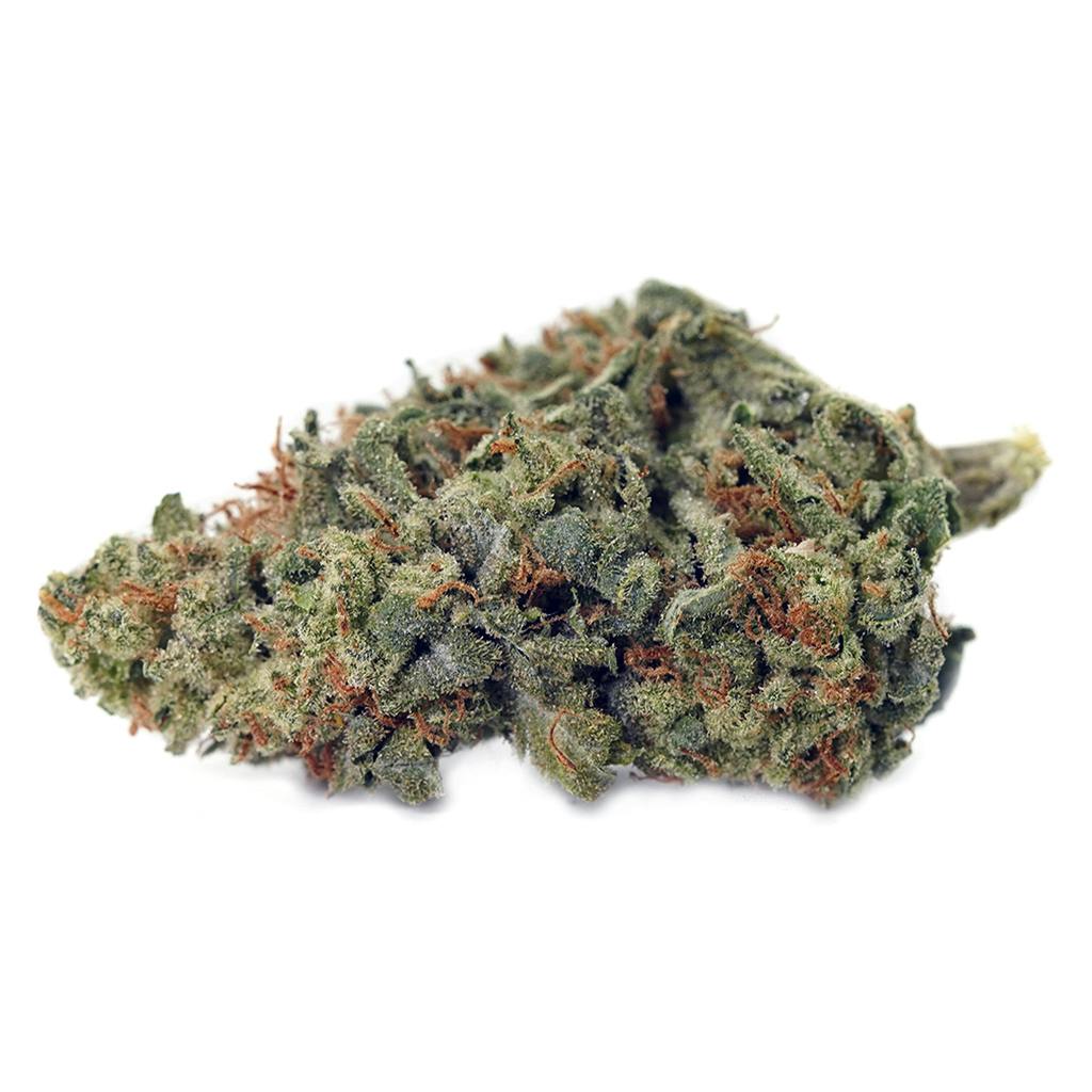 Lost Cause | Big Buds | 3.5g