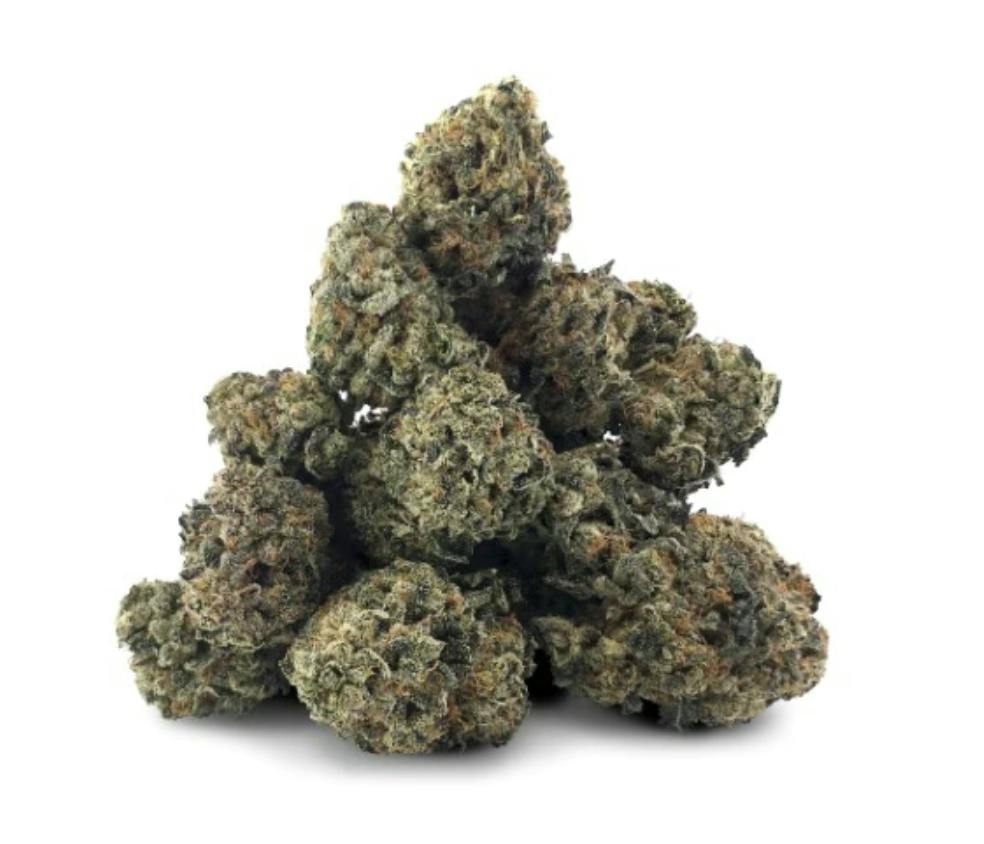 Biscotti Mintz | 14g