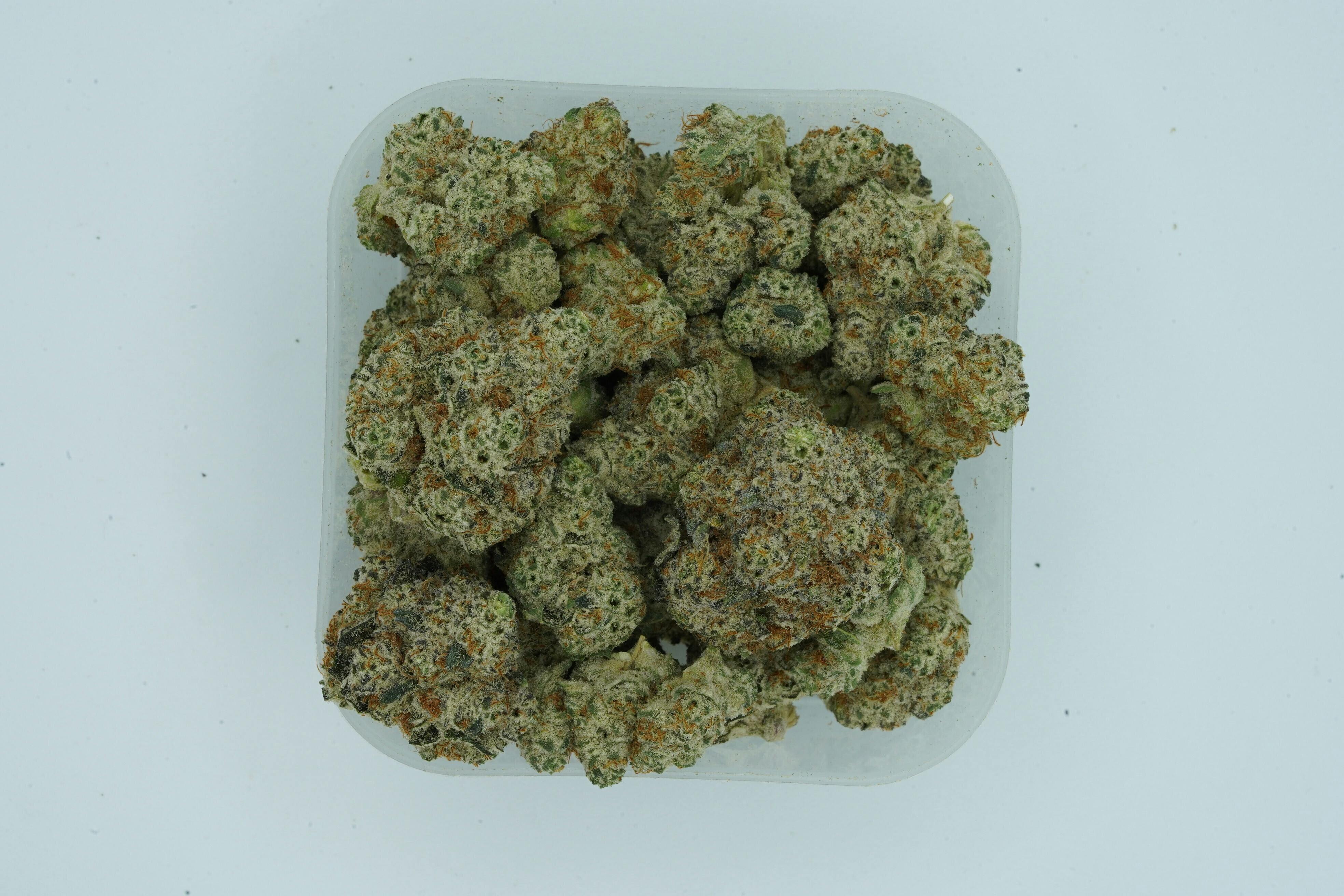 Garlic Crasher | 1g