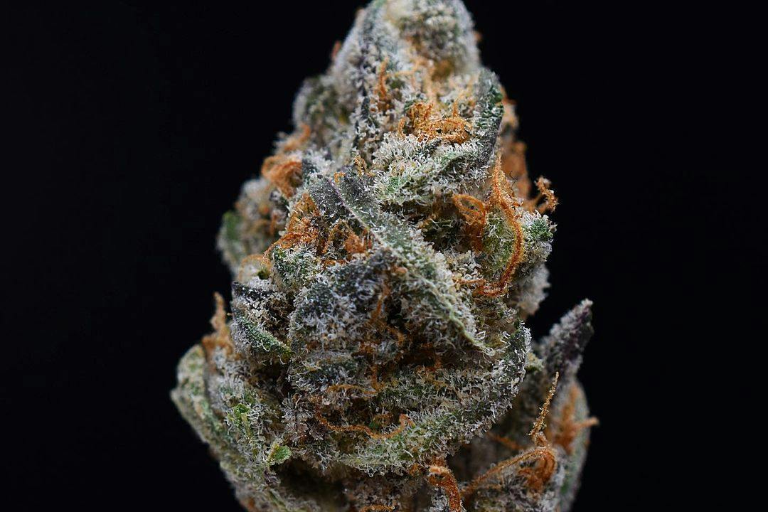Head Cake | 1g