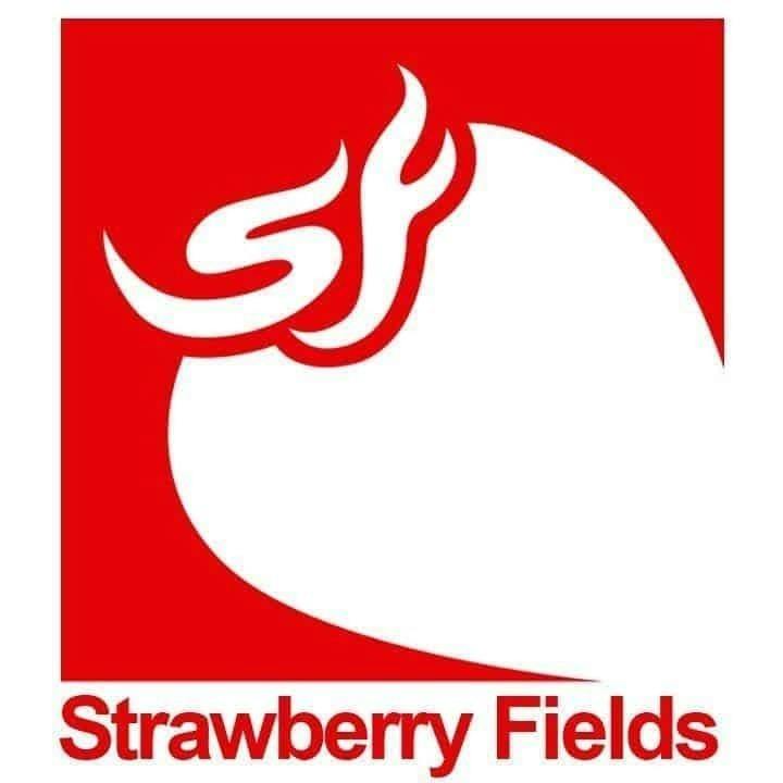 SF Strawberry Sticker | Accessories
