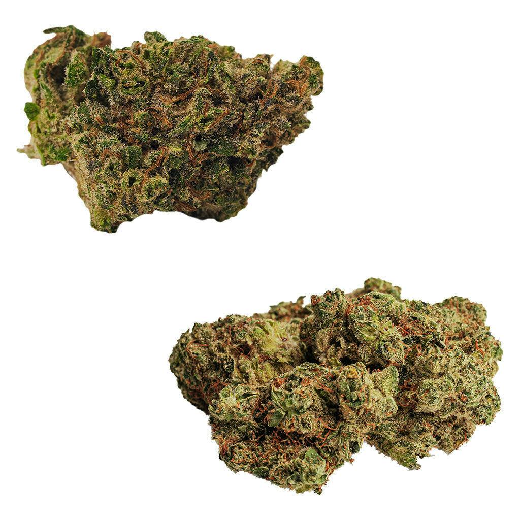 Rotating Duo | Big Buds | 7g