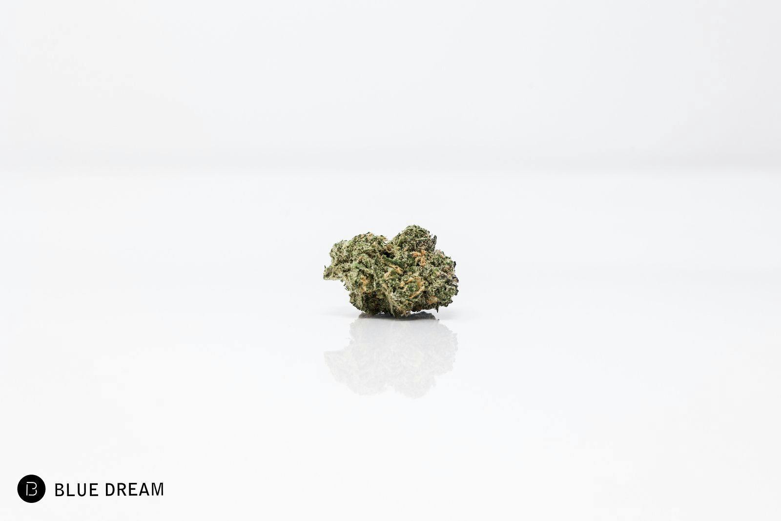 Blue Dream | 1g at High Bank Cannabis Co.