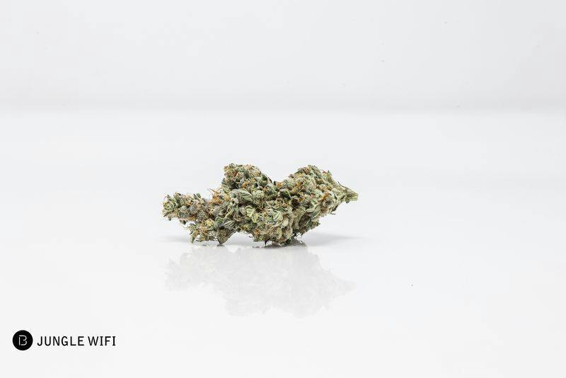 Jungle Wifi | 14g at Green Springs Medical Marijuana Dispensary