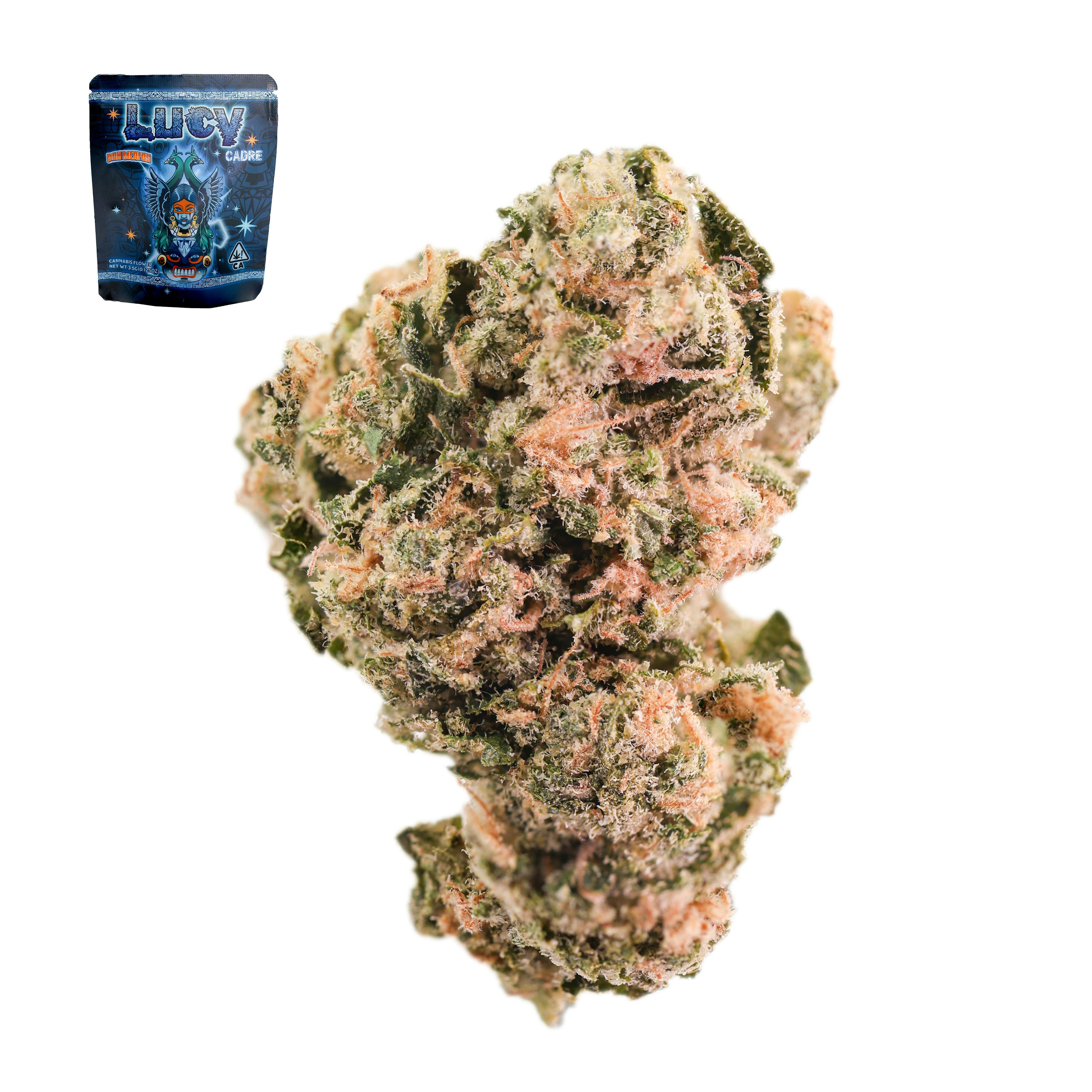 Lucy | 3.5g