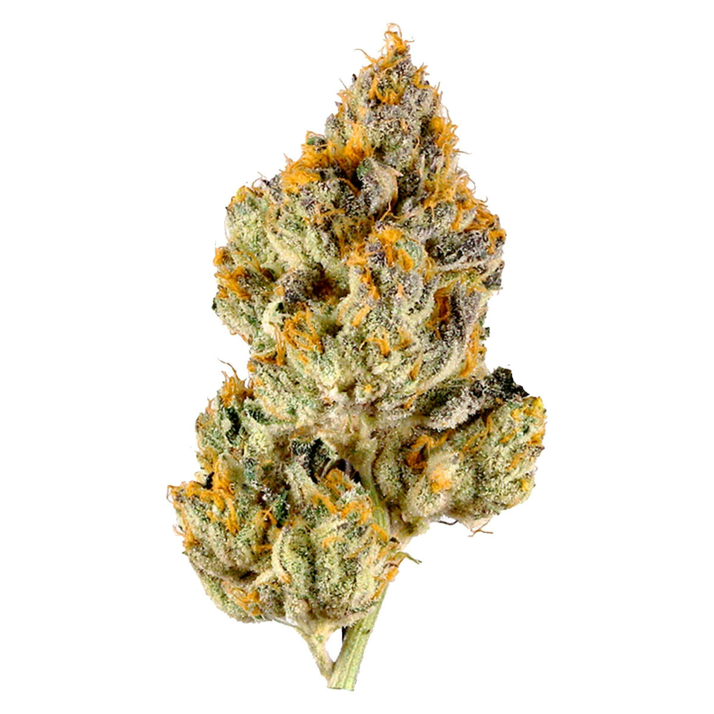 Spacewalker OG | 3.5g