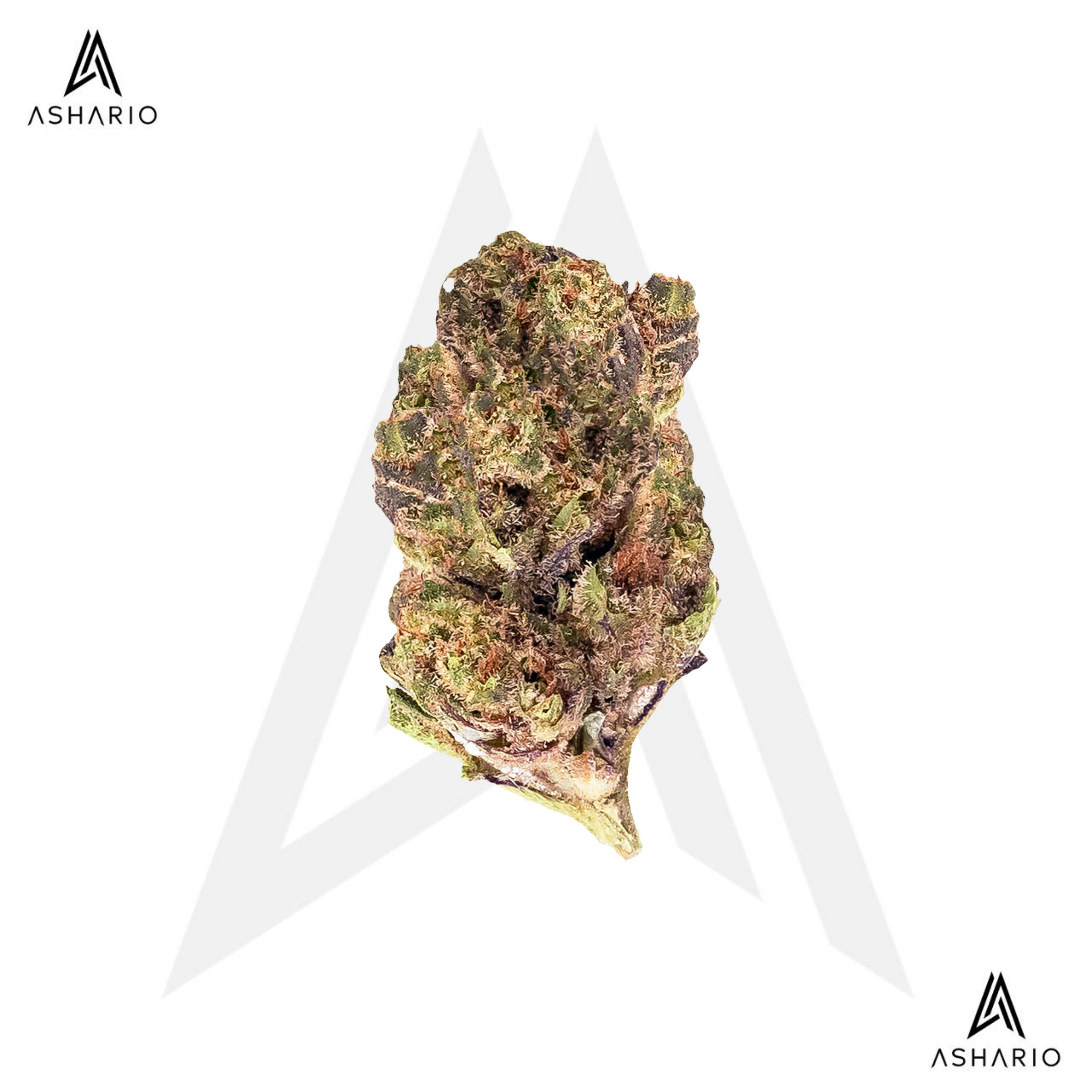 Grape Pie | Big Buds | 3.5g