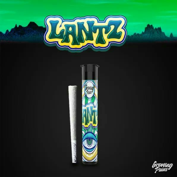 Lantz | Joint | 1g