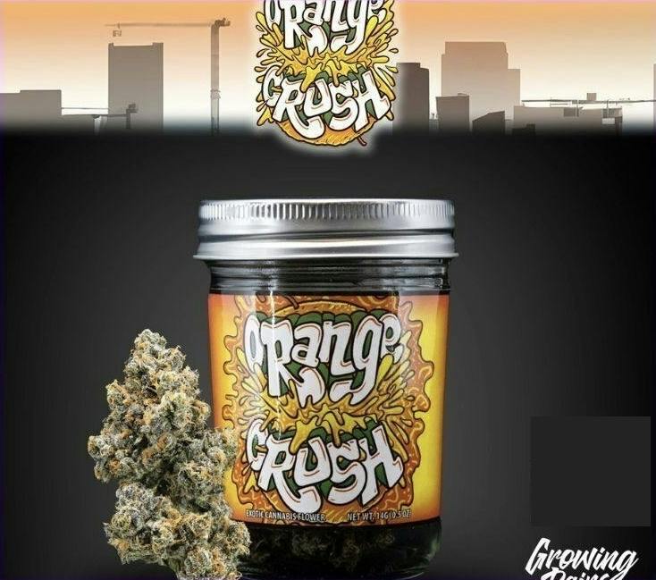 Orange Crush | Buds | 14g