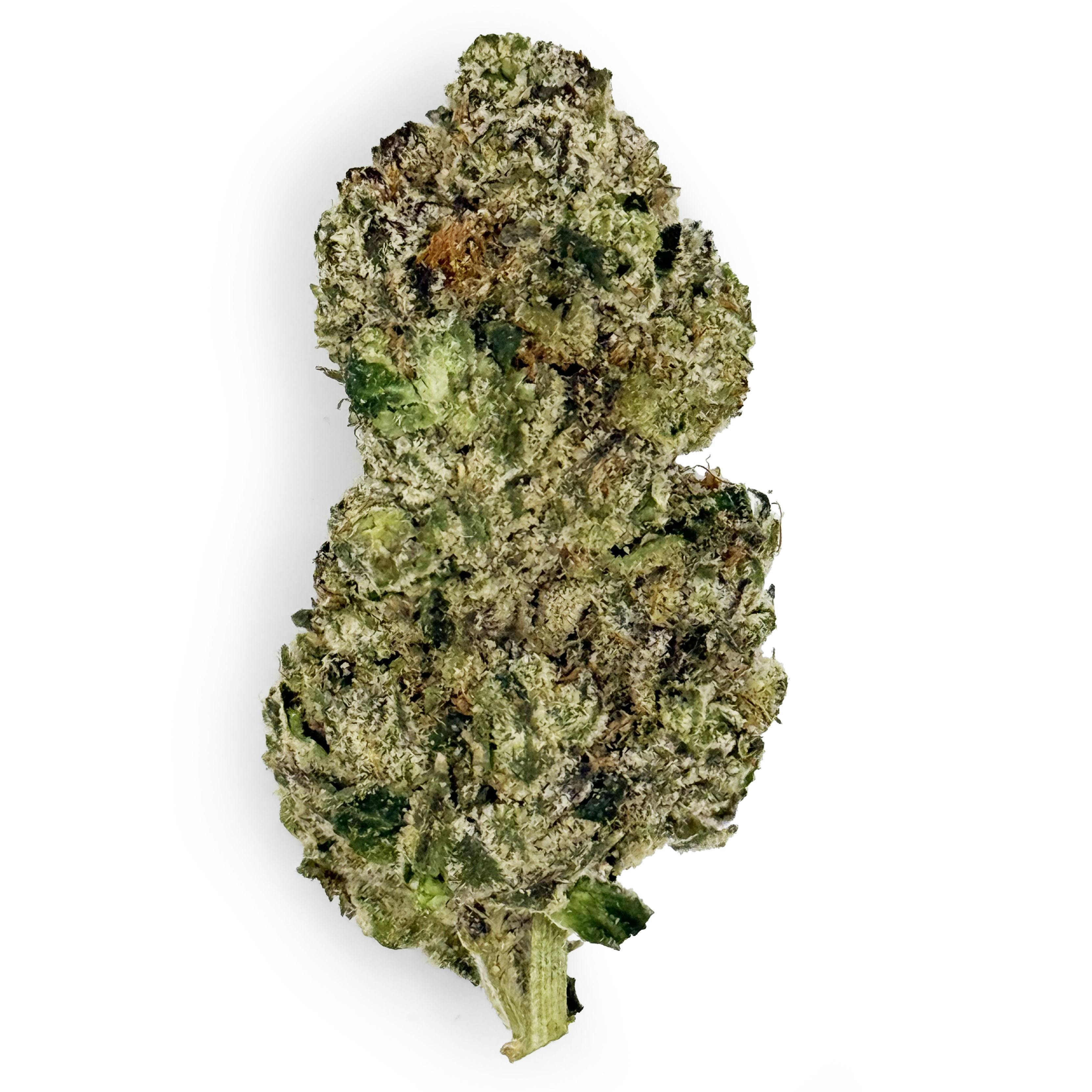 Zyrup | Buds