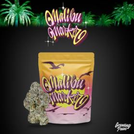 Malibu Marker | Buds | 3.5g