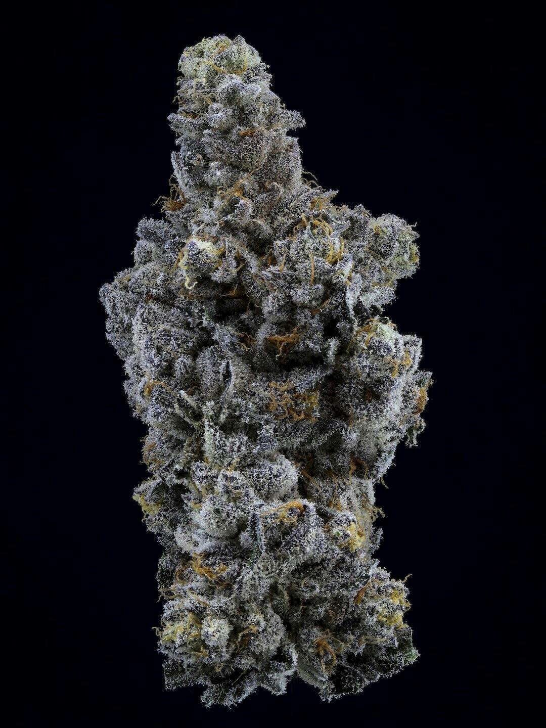 Limelight | Smalls | 3.5g