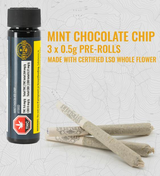 Mint Chocolate Chip | Infused Joints | 1g