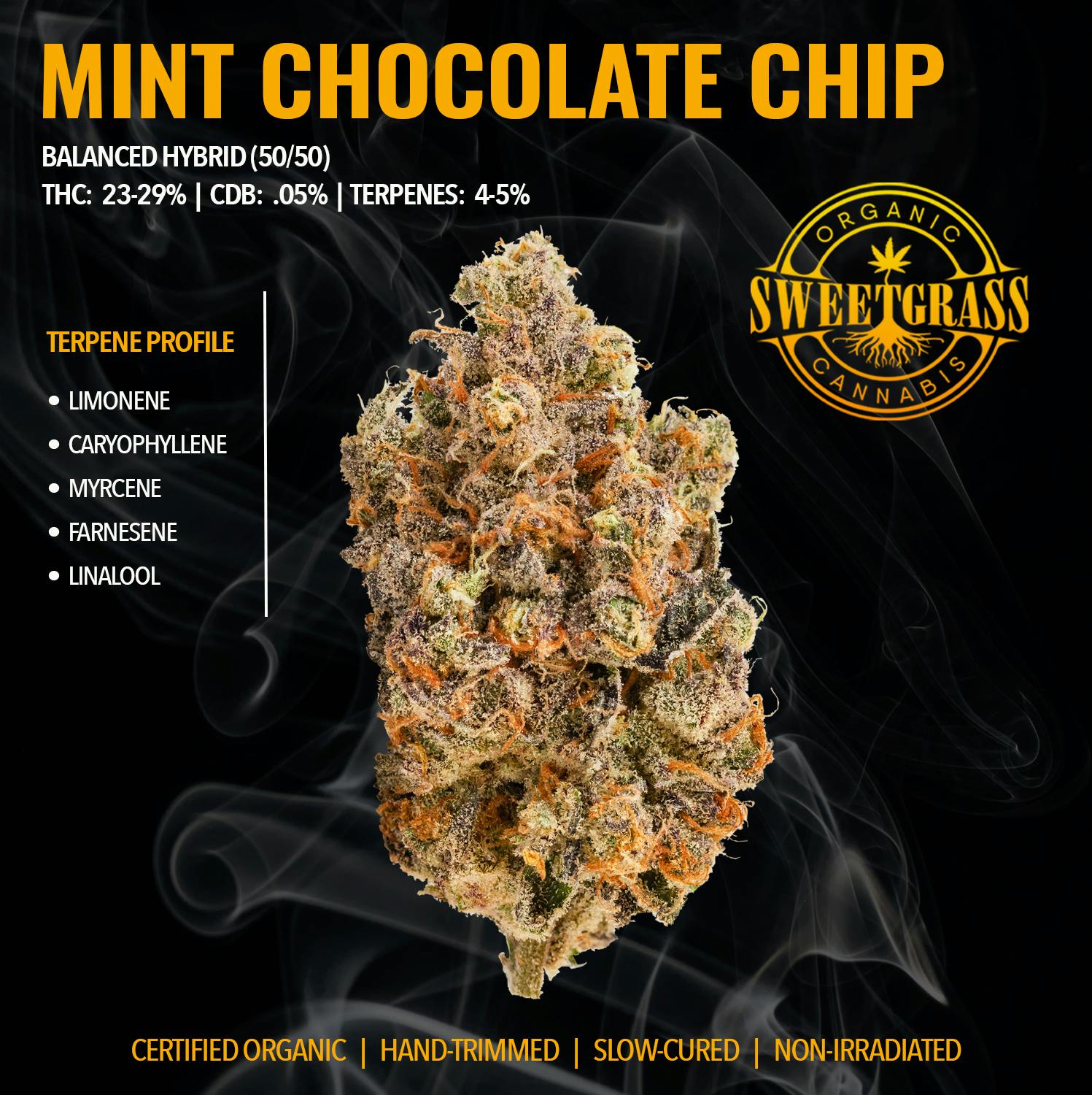Mint Chocolate Chip | Big Buds | 3.5g