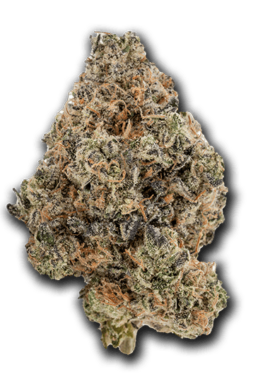 Hash Burger | Big Buds | 1g