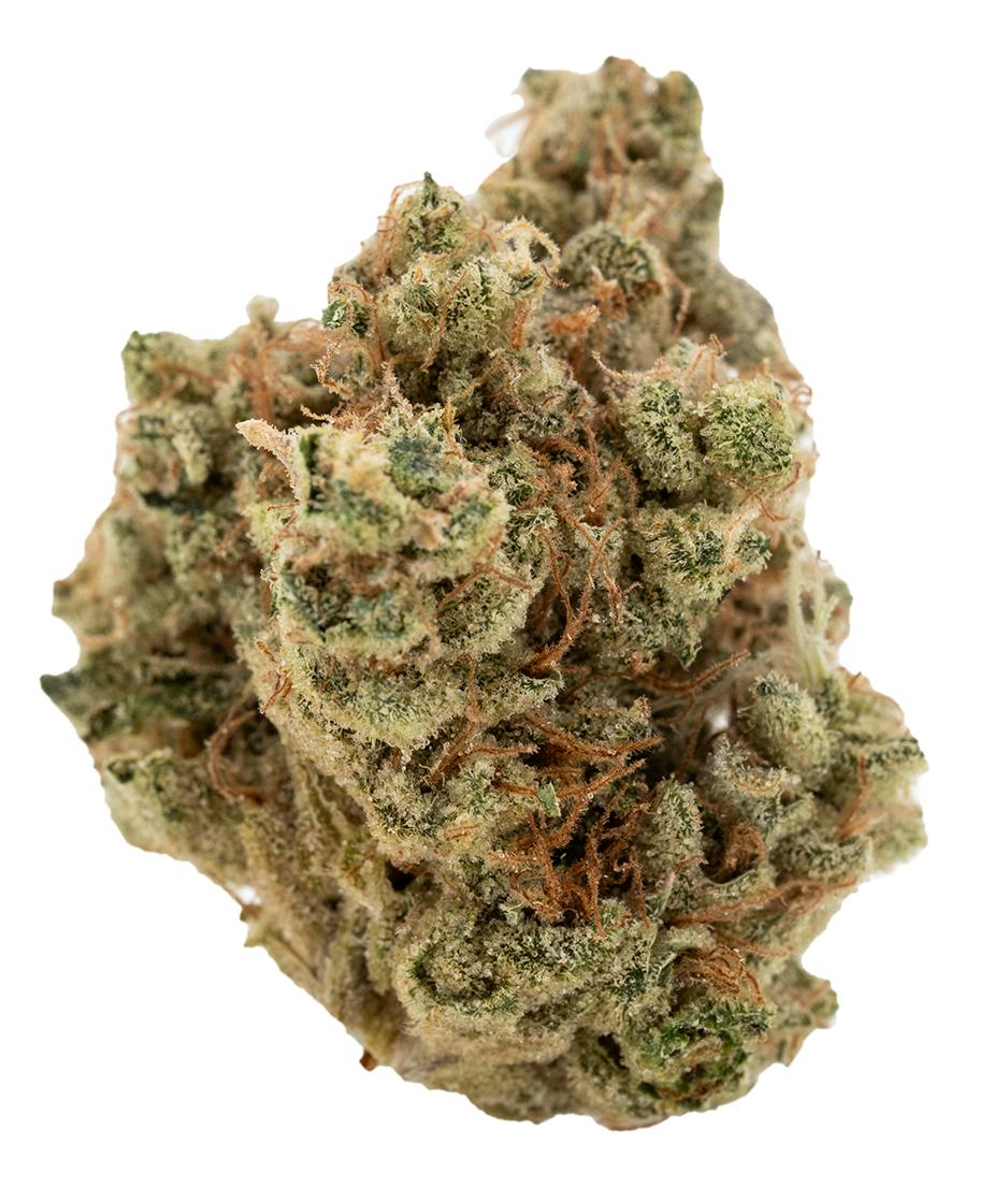 Phatso | Big Buds | 1g