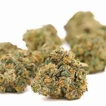 Bacio Gelato — Bacio Gelato