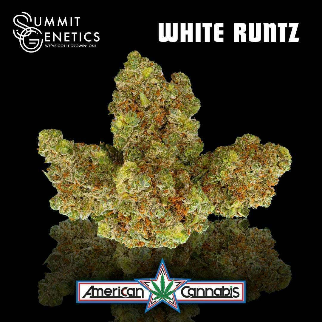 White Runtz | Big Buds | 14g