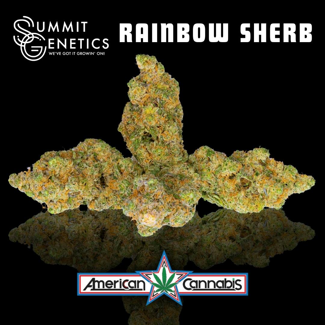 Rainbow Sherb | Big Buds | 3.5g