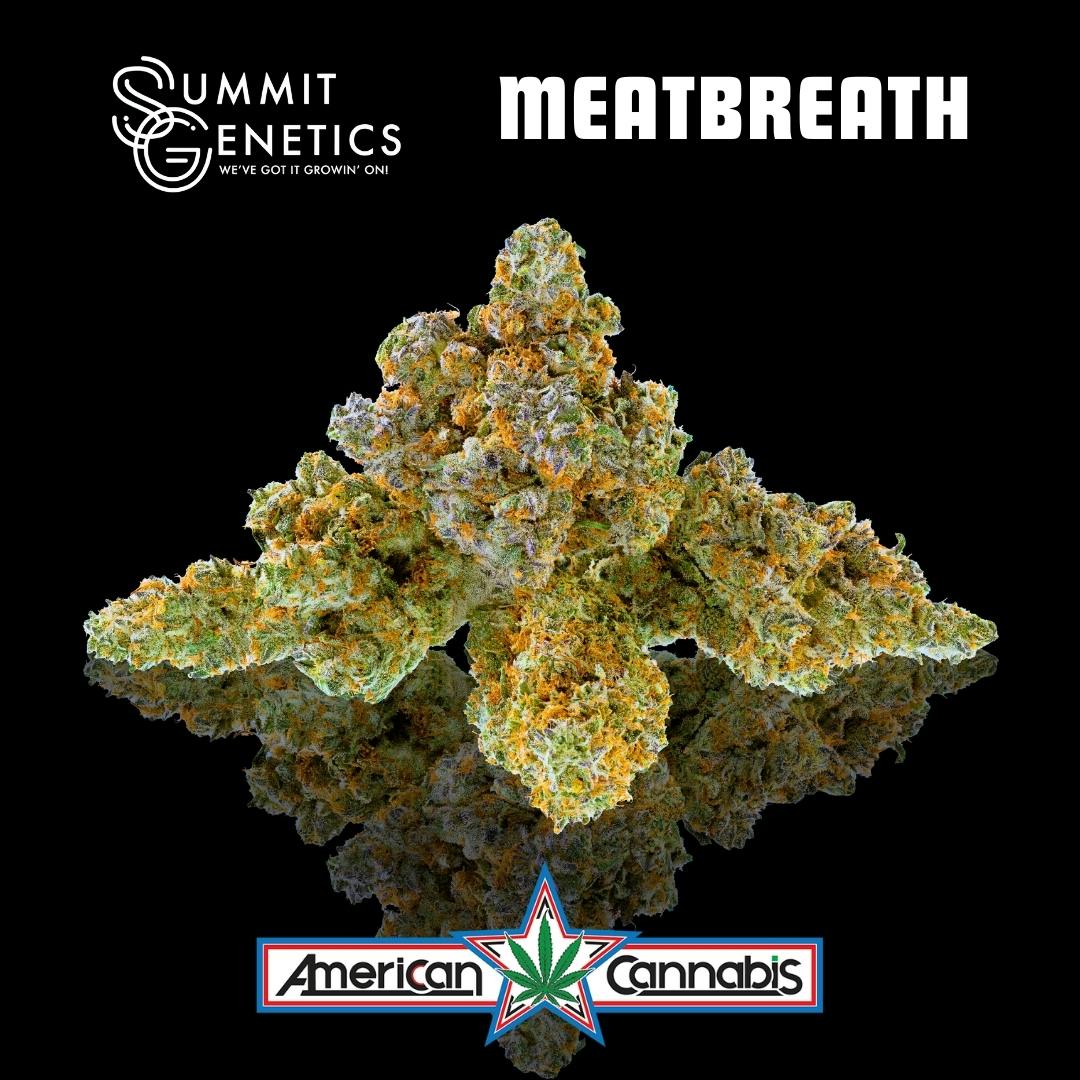 Meatbreath | Big Buds | 3.5g