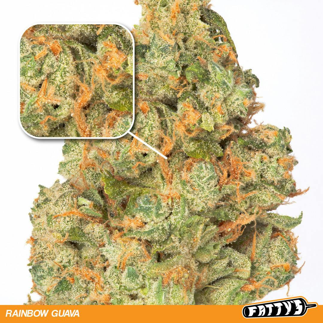 Rainbow Guava #5 | Big Buds | 1g