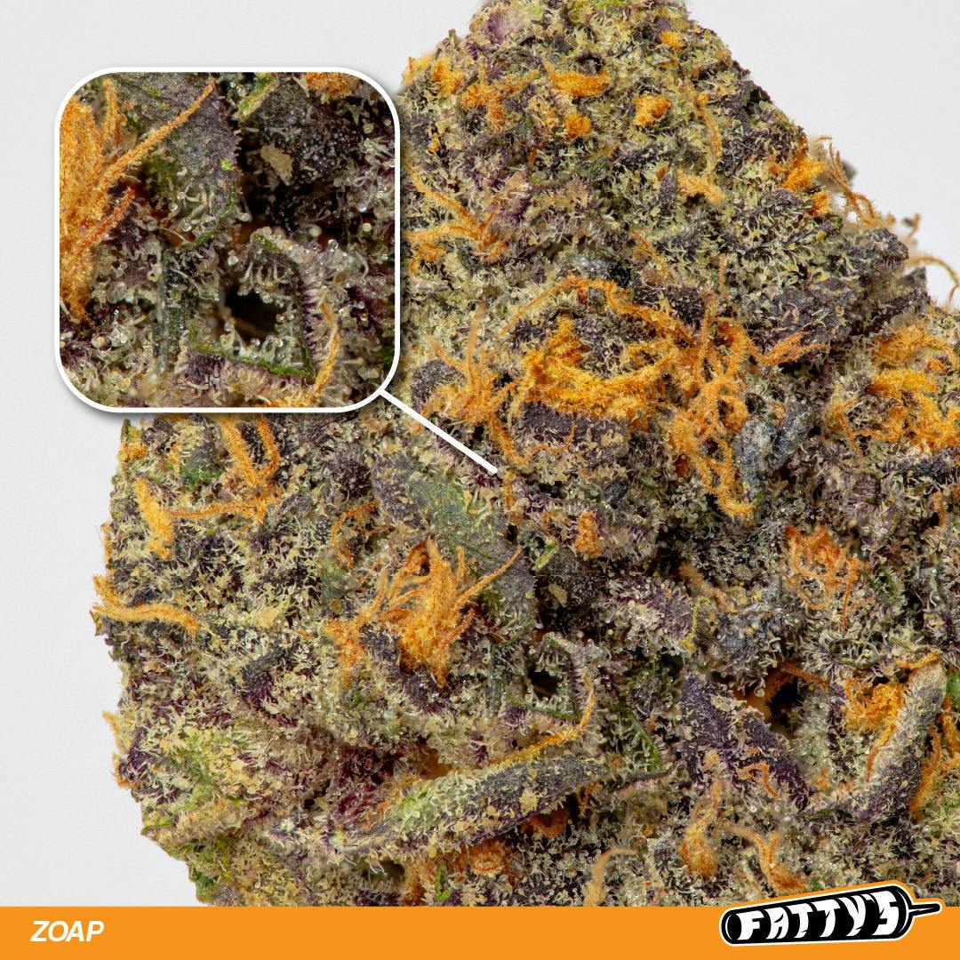 Zoap | Big Buds | 1g