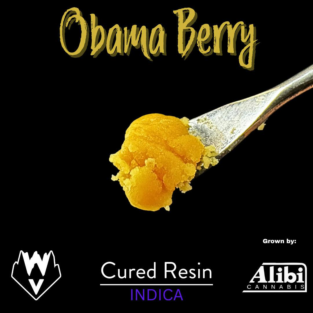 Willamette Valley Alchemy LLC: Obama Berry