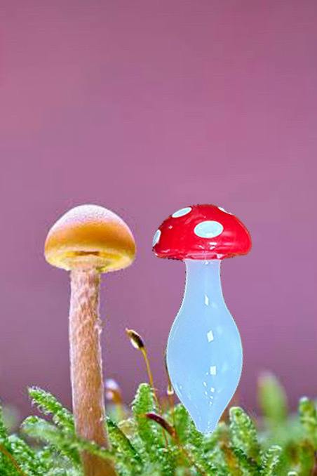 MJ Arsenal Carb Cap | Mushroom Bubble | Dab Rigs | Carb Cap