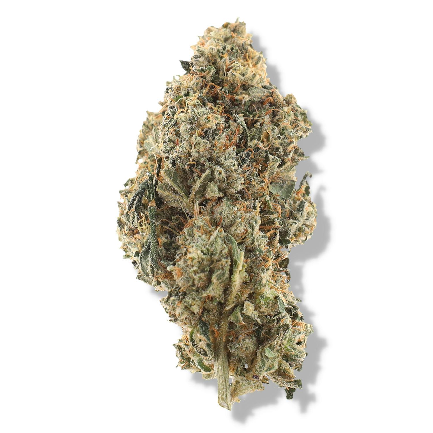 Jack Herer | Buds | 1g